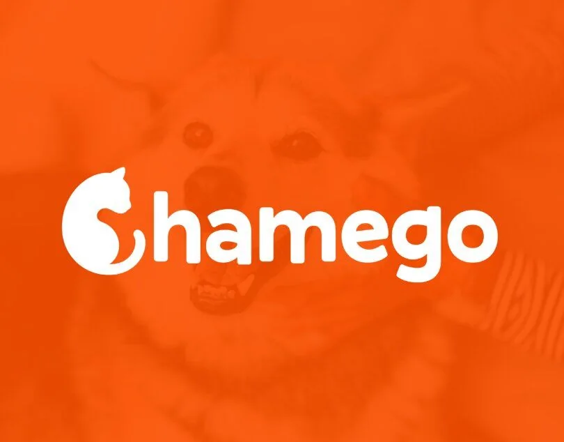Chamego - Identidade Visual